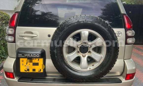 Buy Used Toyota Prado Other Car in Harare in Harare Buy Used Toyota Prado Other Car in Harare in Harare