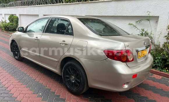 Buy Used Toyota Altis Other Car in Harare in Harare Buy Used Toyota Altis Other Car in Harare in Harare