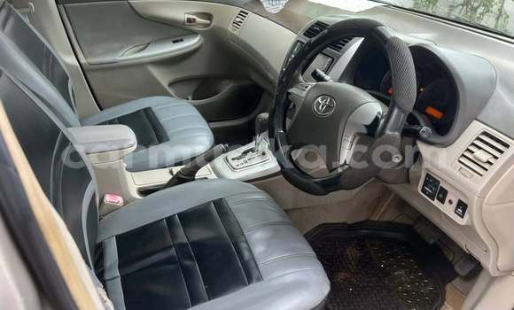 Buy Used Toyota Altis Other Car in Harare in Harare Buy Used Toyota Altis Other Car in Harare in Harare