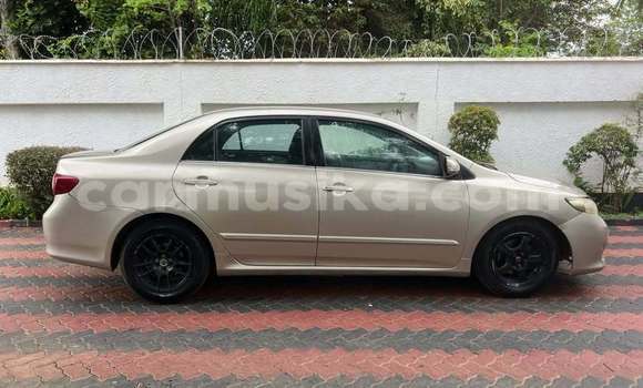 Buy Used Toyota Altis Other Car in Harare in Harare Buy Used Toyota Altis Other Car in Harare in Harare