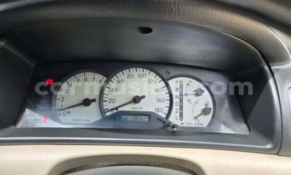 Buy Used Toyota Runx Other Car in Bulawayo in Bulawayo Buy Used Toyota Runx Other Car in Bulawayo in Bulawayo