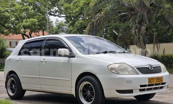 Buy Used Toyota Runx Other Car in Bulawayo in Bulawayo Buy Used Toyota Runx Other Car in Bulawayo in Bulawayo