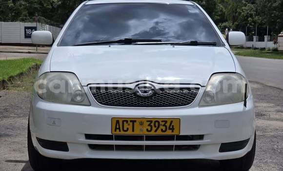 Buy Used Toyota Runx Other Car in Bulawayo in Bulawayo Buy Used Toyota Runx Other Car in Bulawayo in Bulawayo