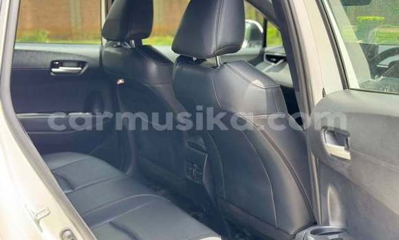Buy Used Toyota Corolla Cross White Car in Harare in Harare Buy Used Toyota Corolla Cross White Car in Harare in Harare