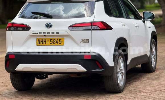 Buy Used Toyota Corolla Cross White Car in Harare in Harare Buy Used Toyota Corolla Cross White Car in Harare in Harare