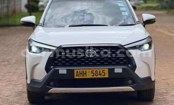 Buy Used Toyota Corolla Cross White Car in Harare in Harare Buy Used Toyota Corolla Cross White Car in Harare in Harare