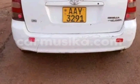 Buy Used Toyota FJ Cruiser Other Car in Bulawayo in Bulawayo Buy Used Toyota FJ Cruiser Other Car in Bulawayo in Bulawayo