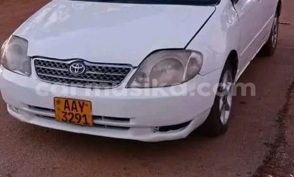 Buy Used Toyota FJ Cruiser Other Car in Bulawayo in Bulawayo Buy Used Toyota FJ Cruiser Other Car in Bulawayo in Bulawayo