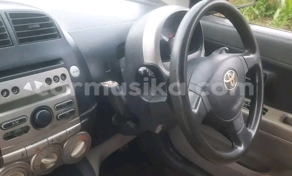 Buy Used Toyota Passo Other Car in Bulawayo in Bulawayo