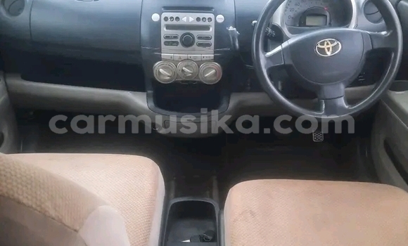 Buy Used Toyota Passo Other Car in Bulawayo in Bulawayo Buy Used Toyota Passo Other Car in Bulawayo in Bulawayo
