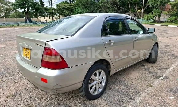 Buy Used Toyota Blizzard Other Car in Bulawayo in Bulawayo Buy Used Toyota Blizzard Other Car in Bulawayo in Bulawayo