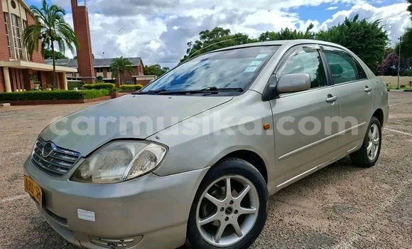 Buy Used Toyota Blizzard Other Car in Bulawayo in Bulawayo Buy Used Toyota Blizzard Other Car in Bulawayo in Bulawayo