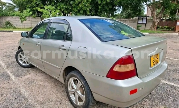 Buy Used Toyota Blizzard Other Car in Bulawayo in Bulawayo Buy Used Toyota Blizzard Other Car in Bulawayo in Bulawayo