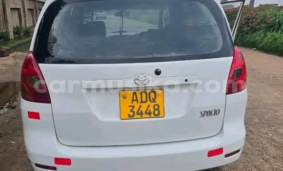 Buy Used Toyota Spacio White Car in Bulawayo in Bulawayo Buy Used Toyota Spacio White Car in Bulawayo in Bulawayo