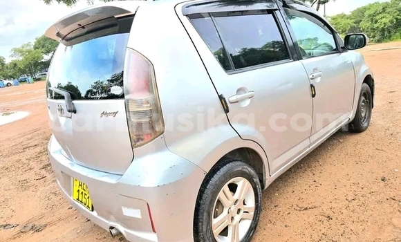 Buy Used Toyota Passo Other Car in Bulawayo in Bulawayo Buy Used Toyota Passo Other Car in Bulawayo in Bulawayo