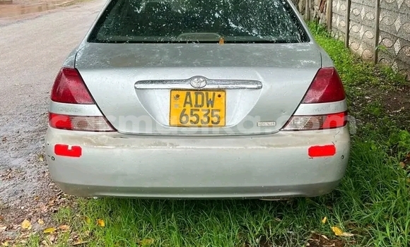 Buy Used Toyota Mark X Other Car in Bulawayo in Bulawayo Buy Used Toyota Mark X Other Car in Bulawayo in Bulawayo