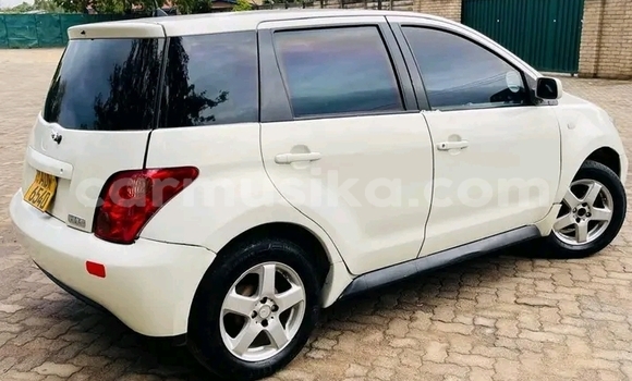 Buy Used Toyota IST White Car in Borrowdale in Harare Buy Used Toyota IST White Car in Borrowdale in Harare