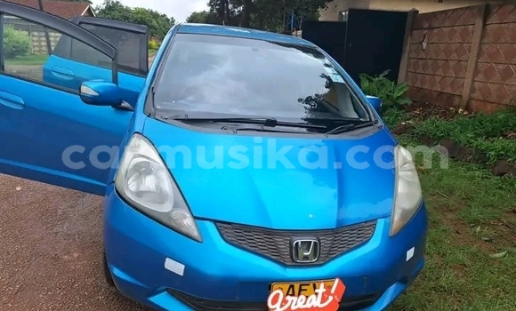 Buy Used Honda Fit Blue Car in Bulawayo in Bulawayo Buy Used Honda Fit Blue Car in Bulawayo in Bulawayo