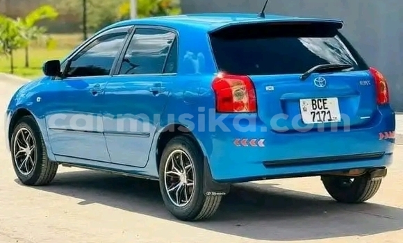 Buy Used Toyota Runx Blue Car in Bulawayo in Bulawayo Buy Used Toyota Runx Blue Car in Bulawayo in Bulawayo