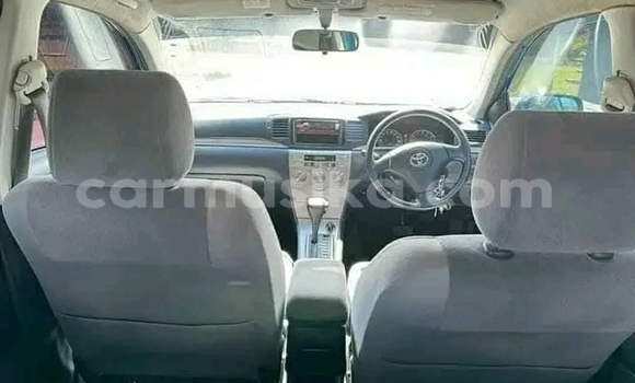 Buy Used Toyota Hilux White Car in Borrowdale in Harare Buy Used Toyota Hilux White Car in Borrowdale in Harare
