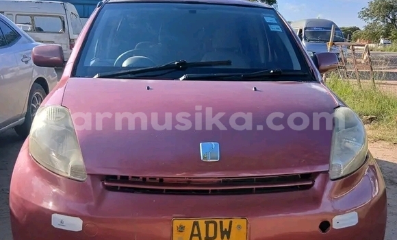 Buy Used Toyota Passo Red Car in Bulawayo in Bulawayo Buy Used Toyota Passo Red Car in Bulawayo in Bulawayo
