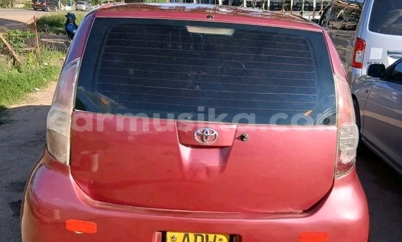 Buy Used Toyota Passo Red Car in Bulawayo in Bulawayo Buy Used Toyota Passo Red Car in Bulawayo in Bulawayo