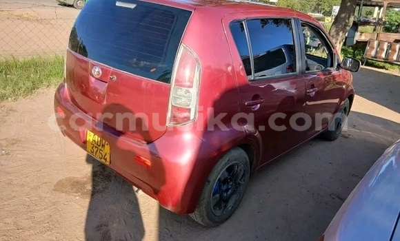 Buy Used Toyota Passo Red Car in Bulawayo in Bulawayo Buy Used Toyota Passo Red Car in Bulawayo in Bulawayo