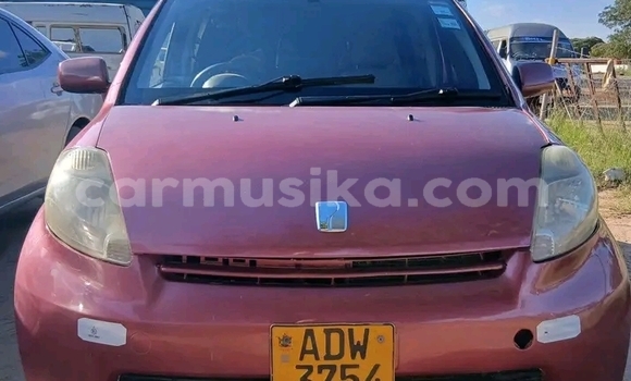 Buy Used Toyota Passo Red Car in Bulawayo in Bulawayo Buy Used Toyota Passo Red Car in Bulawayo in Bulawayo