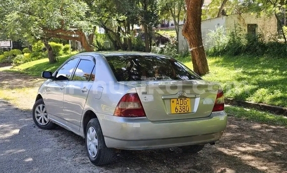 Buy Used Toyota Corolla Silver Car in Bulawayo in Bulawayo Buy Used Toyota Corolla Silver Car in Bulawayo in Bulawayo