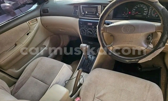 Buy Used Toyota Corolla Silver Car in Bulawayo in Bulawayo Buy Used Toyota Corolla Silver Car in Bulawayo in Bulawayo