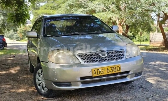 Buy Used Toyota Corolla Silver Car in Bulawayo in Bulawayo Buy Used Toyota Corolla Silver Car in Bulawayo in Bulawayo