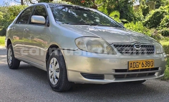 Buy Used Toyota Corolla Silver Car in Bulawayo in Bulawayo Buy Used Toyota Corolla Silver Car in Bulawayo in Bulawayo