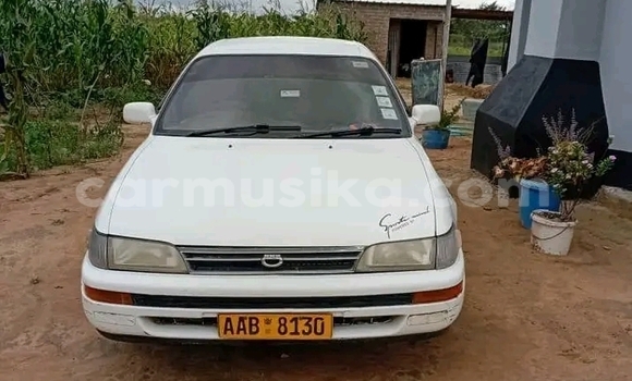 Buy Used Toyota Corolla White Car in Bulawayo in Bulawayo Buy Used Toyota Corolla White Car in Bulawayo in Bulawayo