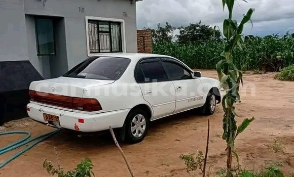 Buy Used Toyota Corolla White Car in Bulawayo in Bulawayo Buy Used Toyota Corolla White Car in Bulawayo in Bulawayo