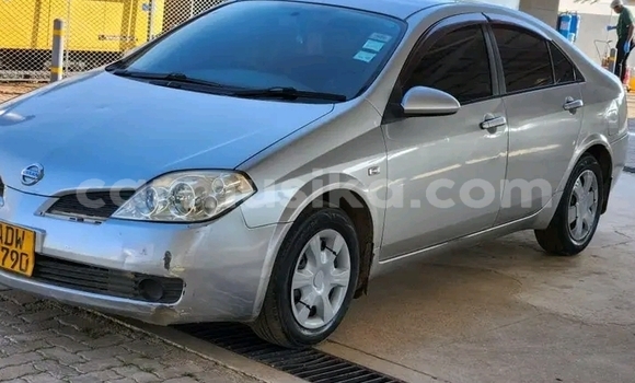 Buy Used Nissan Primera Other Car in Bulawayo in Bulawayo Buy Used Nissan Primera Other Car in Bulawayo in Bulawayo
