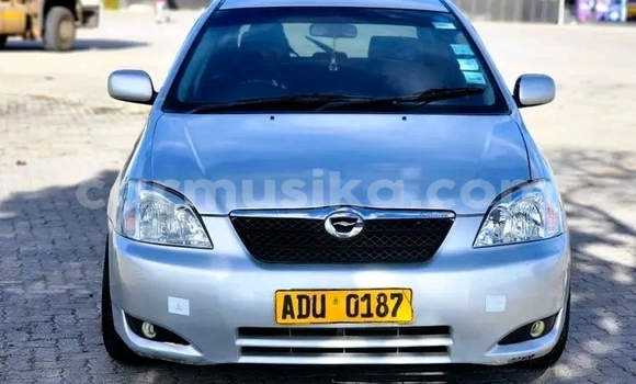 Buy Used Toyota Runx Other Car in Gaths in Masvingo Buy Used Toyota Runx Other Car in Gaths in Masvingo