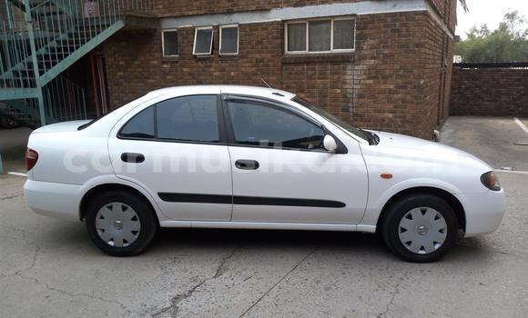 Buy Used Nissan Almera White Car in Beitbridge in Matabeleland South Buy Used Nissan Almera White Car in Beitbridge in Matabeleland South