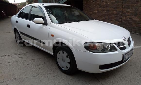 Buy Used Nissan Almera White Car in Beitbridge in Matabeleland South Buy Used Nissan Almera White Car in Beitbridge in Matabeleland South