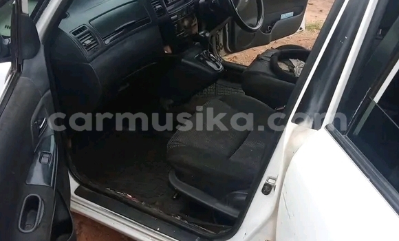 Buy Used Toyota Spacio White Car in Borrowdale in Harare Buy Used Toyota Spacio White Car in Borrowdale in Harare