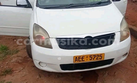 Buy Used Toyota Spacio White Car in Borrowdale in Harare Buy Used Toyota Spacio White Car in Borrowdale in Harare