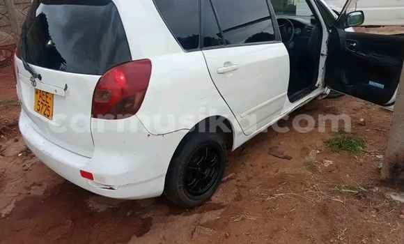 Buy Used Toyota Spacio White Car in Borrowdale in Harare Buy Used Toyota Spacio White Car in Borrowdale in Harare