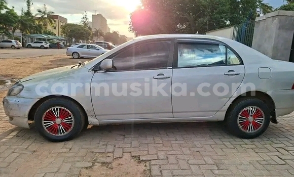 Buy Used Toyota Blizzard White Car in Borrowdale in Harare Buy Used Toyota Blizzard White Car in Borrowdale in Harare