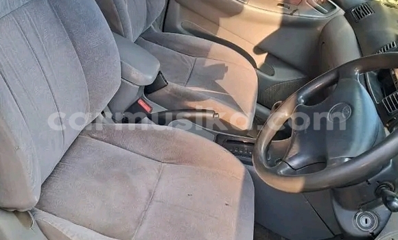 Buy Used Toyota Blizzard White Car in Borrowdale in Harare Buy Used Toyota Blizzard White Car in Borrowdale in Harare