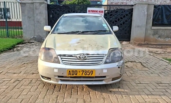 Buy Used Toyota Blizzard White Car in Borrowdale in Harare Buy Used Toyota Blizzard White Car in Borrowdale in Harare