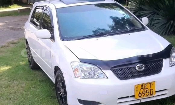 Buy Used Toyota Runx White Car in Borrowdale in Harare Buy Used Toyota Runx White Car in Borrowdale in Harare