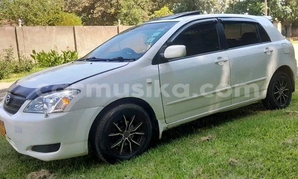 Buy Used Toyota Runx White Car in Borrowdale in Harare Buy Used Toyota Runx White Car in Borrowdale in Harare