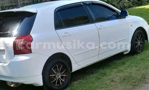 Buy Used Toyota Runx White Car in Borrowdale in Harare Buy Used Toyota Runx White Car in Borrowdale in Harare