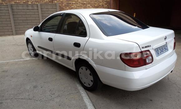 Buy Used Nissan Almera White Car in Beitbridge in Matabeleland South Buy Used Nissan Almera White Car in Beitbridge in Matabeleland South