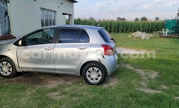 Buy Used Toyota Vitz Other Car in Hwange in Matabeleland North Buy Used Toyota Vitz Other Car in Hwange in Matabeleland North