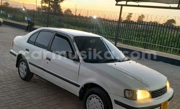 Buy Used Toyota Corolla Other Car in Beitbridge in Matabeleland South Buy Used Toyota Corolla Other Car in Beitbridge in Matabeleland South